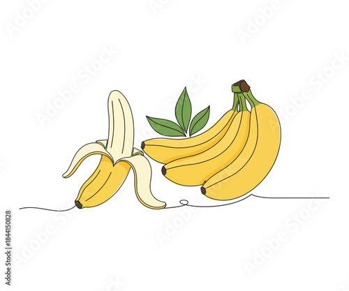 Fresh banana fruit bunch with one peeled banana in continuous line style