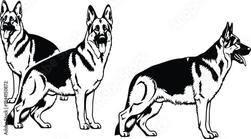 Conceptual illustration representing a vector file type on a plain white background, ideal for technology, programming, and digital media concepts.