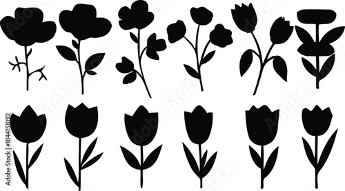 Black silhouette floral collection with tulips and abstract flowers white