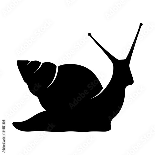 Snail silhouette. Editable EPS 10 vector illustration isolated on white background.