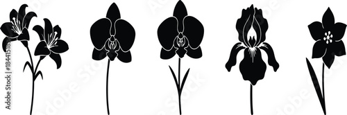 Simple black text "vector file" isolated on a plain white background, representing digital asset formats and graphic design resources.