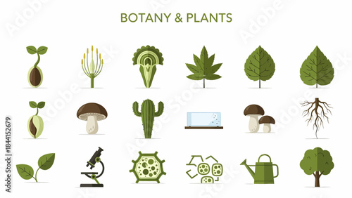 Collection of green and brown icons related to botany and plants arranged in three rows