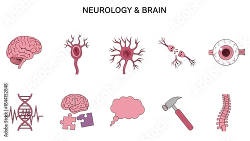Ten pink and purple icons related to neurology and the brain arranged in two rows