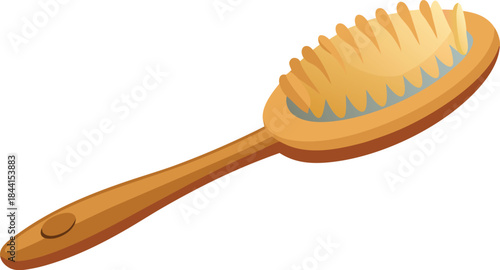 Natural bristle oval hairbrush with wooden handle isolated on white background