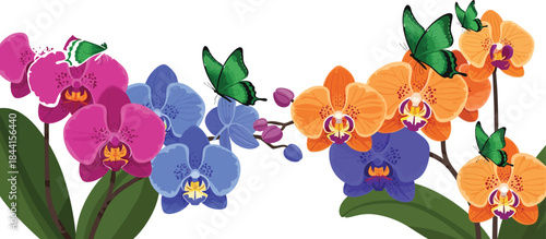 Vibrant illustration featuring colorful orchid flowers and lively green butterflies fluttering around