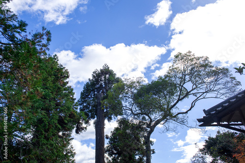 The wonderful and curious clouds background blue sky.