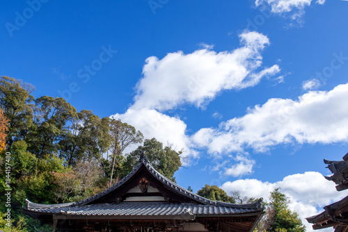 Wallpaper Mural The wonderful and curious clouds background blue sky. Torontodigital.ca