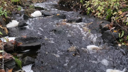 muddy foamy forest stream flows over rocks and autumn leaves with a splash and a murmur