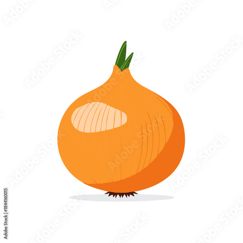 Fresh Bulb Onion Illustration with Green Shoots, Vegetarian and Healthy Culinary Ingredient