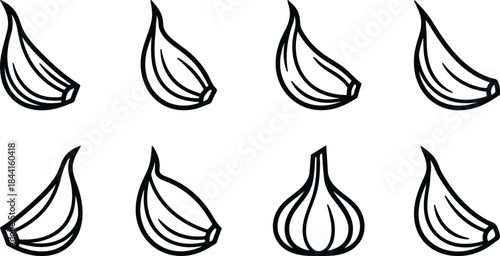 Vector Illustration of Fresh Garlic Bulbs Isolated on White Background