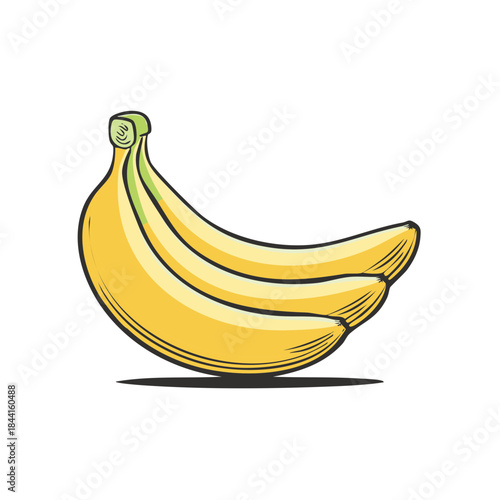 Bunch of Ripe Yellow Bananas Illustration - Tropical Fruit, Healthy Food, Fresh Produce, Vegan Diet