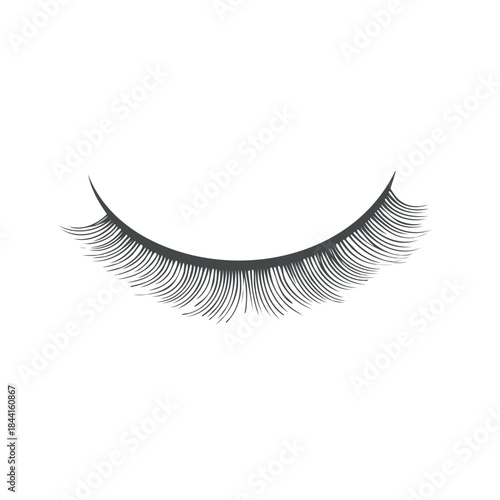 False Eyelashes Extension Set for Beauty Glamour Design, Isolated Black Shape for Makeup Concept on White
