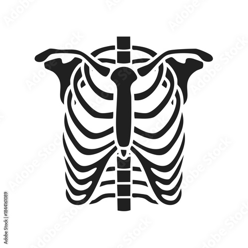 Anatomical vector illustration of a ribcage, sternum, and spine in black and white medical visual, suitable for educational or artistic purposes