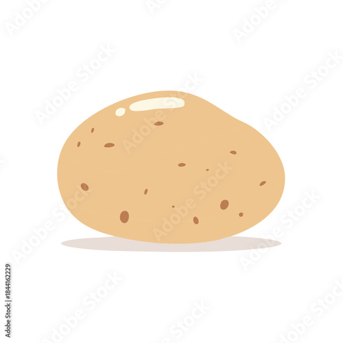 Single Raw Potato Illustration Simple Style Ingredient Food Preparation
