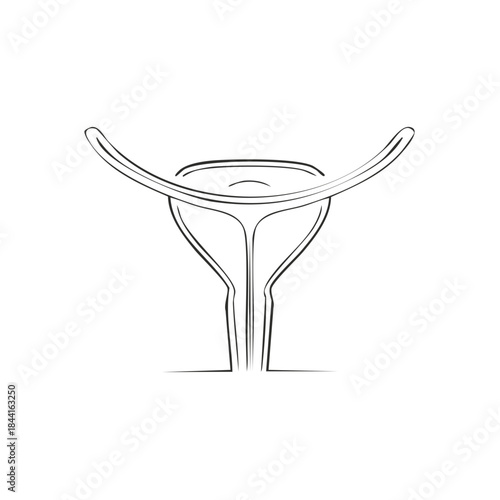 Minimalist sketch of uterus and fallopian tubes for medical illustration and educational use