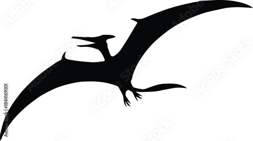 pterosaur vector silhouette flying reptile isolated on white background