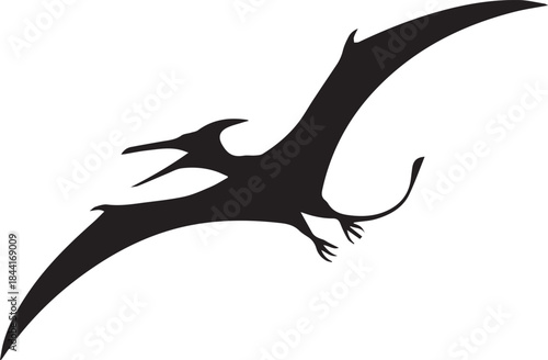 pterosaur flying silhouette prehistoric animal vector isolated on white background