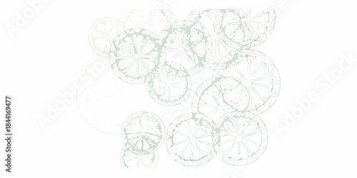 A delicate arrangement of sketched citrus fruit slices light and airy