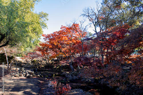 The beautiful landscape of japanese temple.