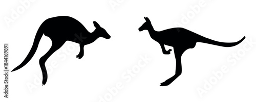 Black kangaroo silhouette illustration. Two kangaroos facing each other in minimalist vector style, isolated on white background. Ideal for logo, icon, wildlife, Australia theme, and graphic 
