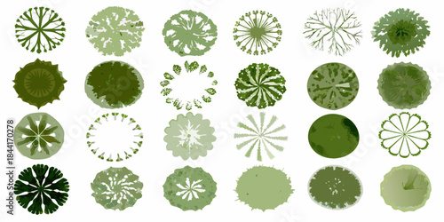 An aerial view of various tree canopies displayed as circular shapes