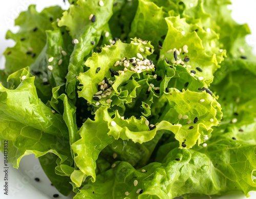 Wallpaper Mural Fresh green salad with sesame seeds, close-up, healthy food Torontodigital.ca
