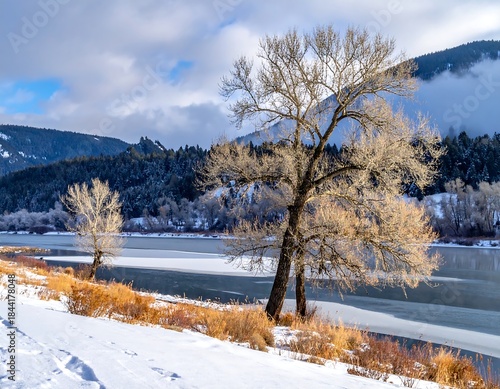 Snowy river landscape with leafless trees, mountains, and a cloudy blue sky