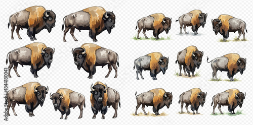 Collection of various bison illustrations in different poses and styles on a transparent background.