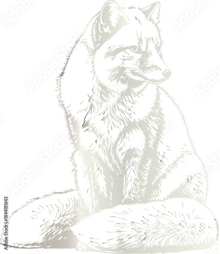 White fox with detailed fur texture and sitting pose