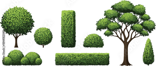 Vector Set of Green Shrubbery, Hedges, and Topiary Trees in Different Shapes, Representing Garden Design, Landscape Architecture, and Nature