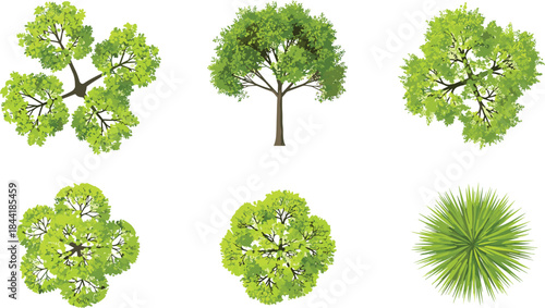 Green tree top view vector illustration set, deciduous foliage canopy elements for landscape architecture, urban planning, map design projects