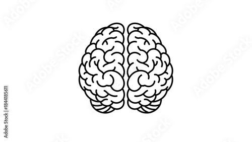 Minimalist flat vector illustration of a human brain in front view, simple symmetrical outline with clean black line art, smooth rounded curves, uniform stroke thickness. White background, centered co