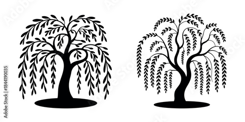 Black weeping willow tree silhouette in minimalist vector style with transparent background.