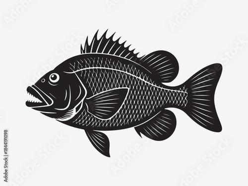 Snapper fish, big bass fish design art silhouette sector, Snapper turning action silhouette vector illustration