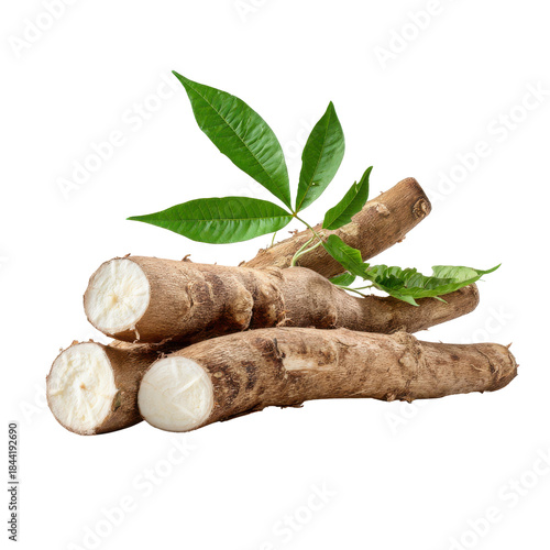 Raw Cassava Roots with Green Leaves on Black Background yuca manioc, Isolated On Black Background, Png Transparent Background, Cut Out
