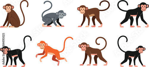 Cute cartoon monkey characters set in different poses, flat vector illustration of playful primates for children education and design