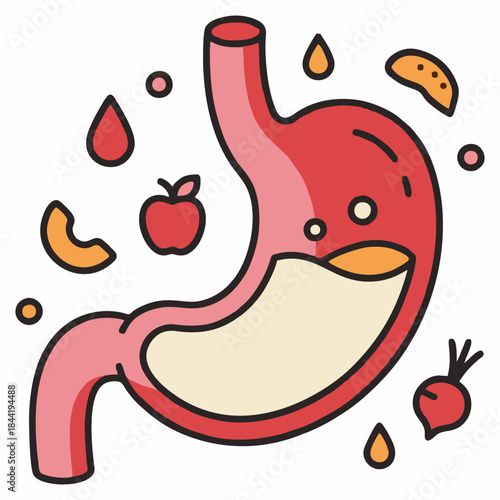 Medical Vector Illustration of Human Stomach Anatomy Showing Gastric Acid and Healthy Food Digestion.