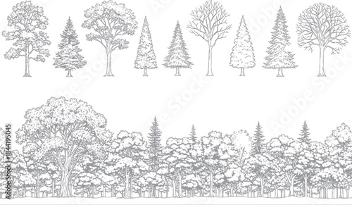 Various Trees and Foliage Patterns for Graphic Design in a Minimalist Environment