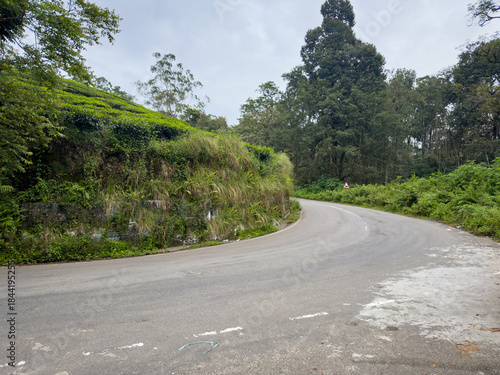 Winding ghat road en route to Valparai from Aliyar through the scenic western ghats in Coimbatore district.