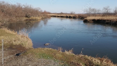 釧路湿原のスガワラ