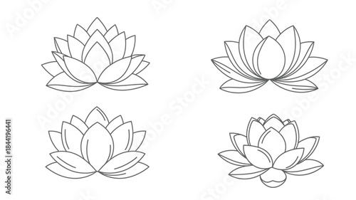 Four delicate lotus flower outlines on a plain white background
