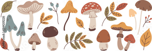 Autumn Mushroom Collection With Leaves And Berries fungi fall