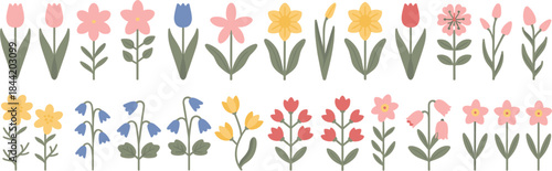 Spring Flowers Collection Tulips Daffodils and Bellflowers vector illustration
