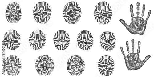 Biometric fingerprints and handprints for security identification isolated on white background