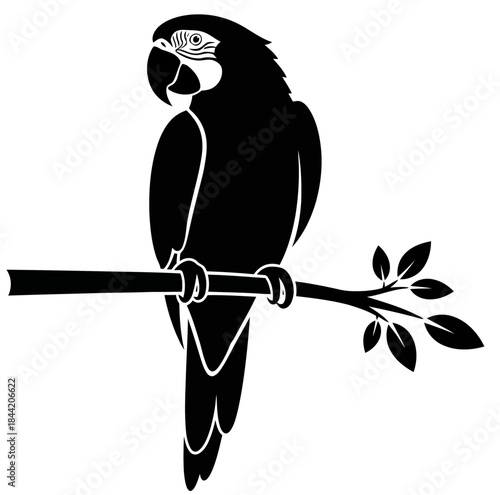 Silhouette of a Macaw Parrot Perched on a Branch with Leaves Black and White Vector Illustration
