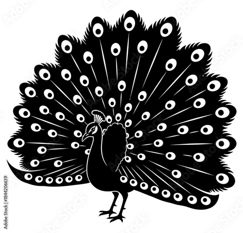 Elegant Black Silhouette of a Peacock Displaying its Full Fan Tail Feathers Vector Illustration