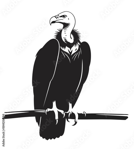 Majestic Vulture Perched on Branch Black and White Silhouette Vector Art