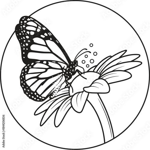 A black and white illustration of a butterfly on a flower in a circle