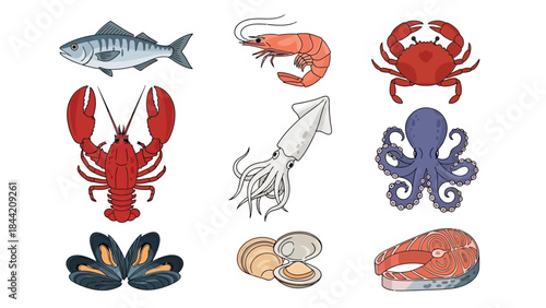 Collection of nine different types of fresh seafood illustrations on a white background, including fish, shrimp, crab, lobster, squid, octopus, mussels, clams, and salmon