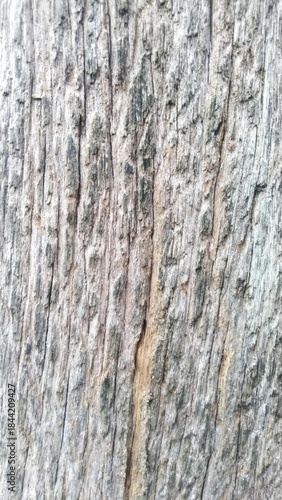 Close-up texture of weathered and aged wood grain with visible cracks and imperfections.